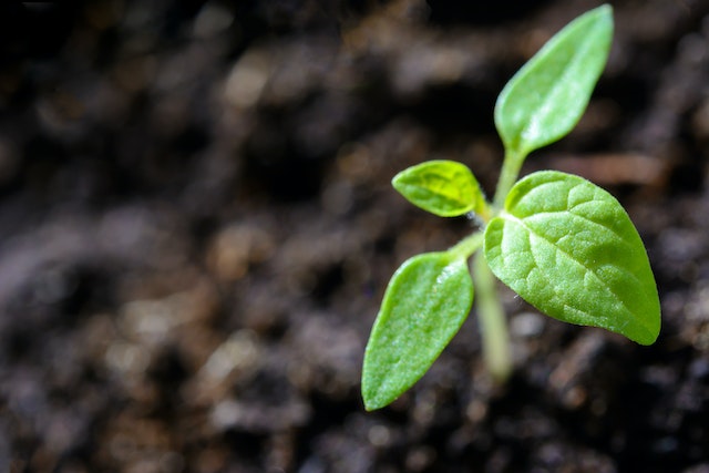 Green energy